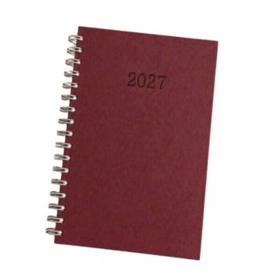 Lizy Termo Deri Ajanda Spiralli 2027 17X24 Karışık - 1 adet