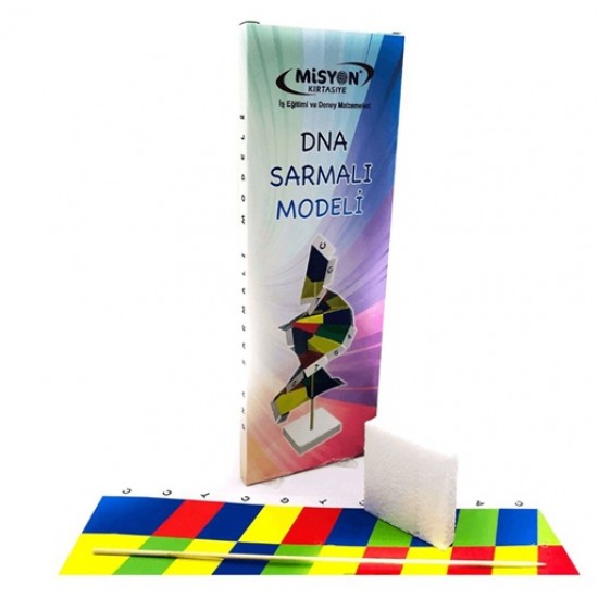 Misyon Dna Sarmalı Modeli Seti - 2 adet