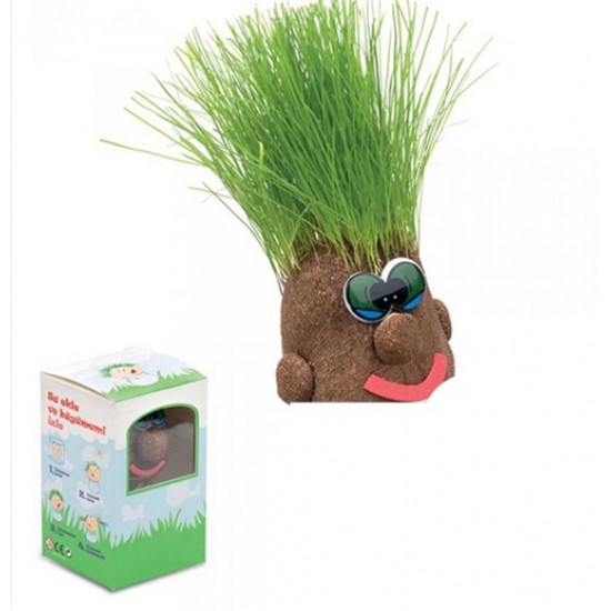 Bozkırlı Çim Adam Pvc Kutulu - 5 adet