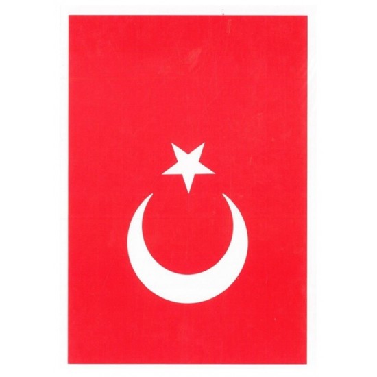 Atatürk Bayrak Çıkartma 13X18 10Lu