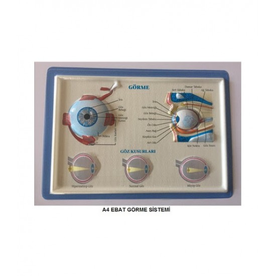 Kabartma Görme Sistemi A4