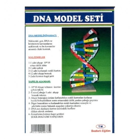 Dna Model Yapım Seti