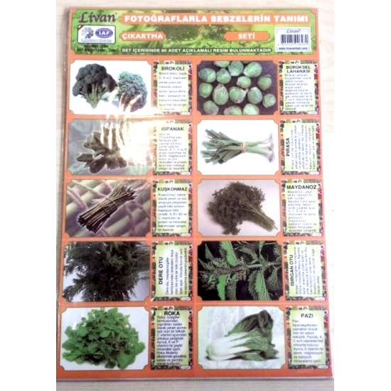 Sebzeli Çıkartma Seti - 6 adet